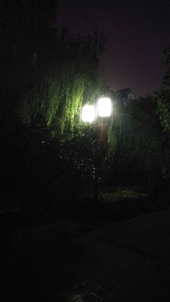 蒙蒙的细雨中,黑暗中一盏明灯