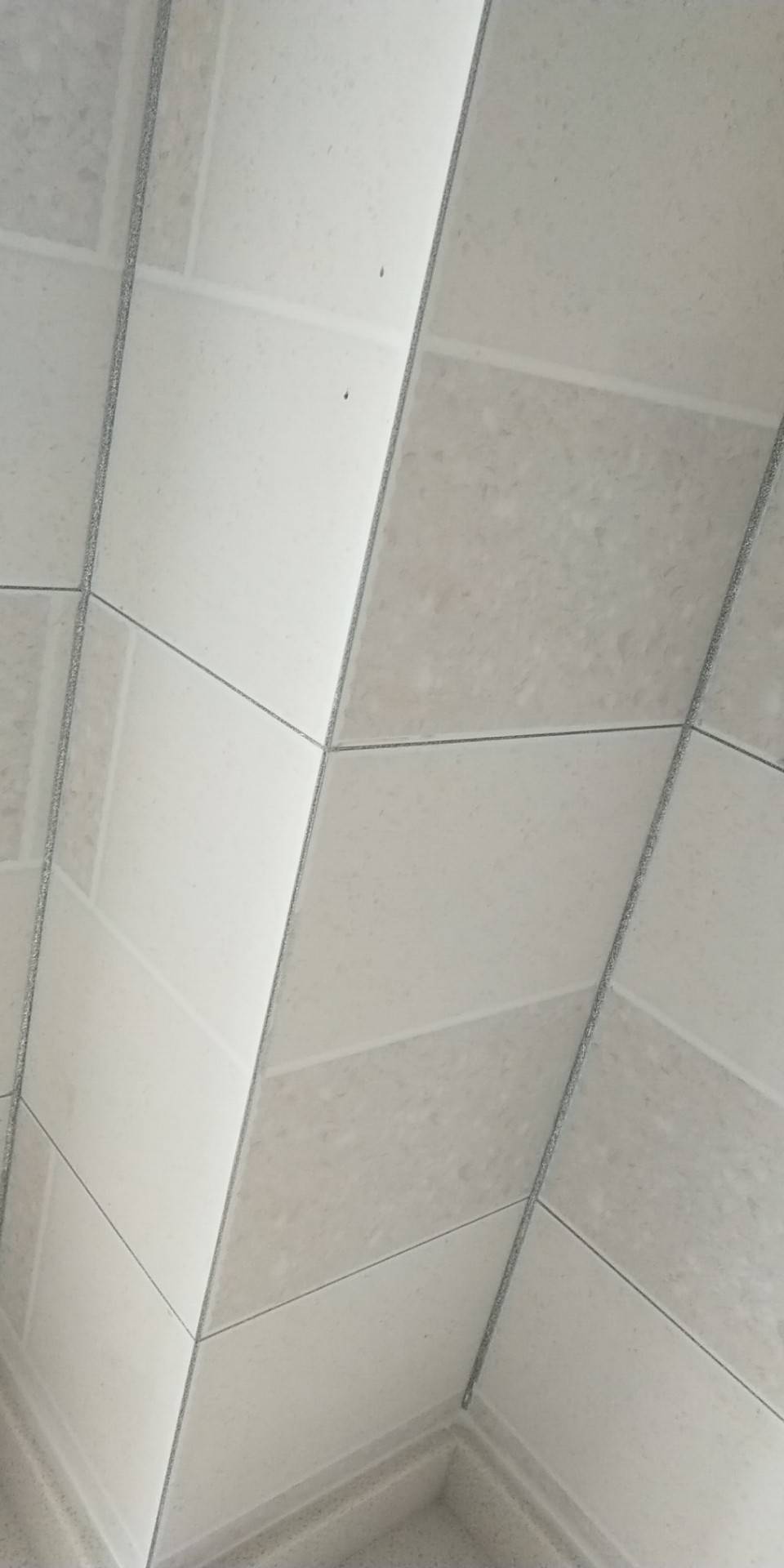 1543805674956601_153.jpg