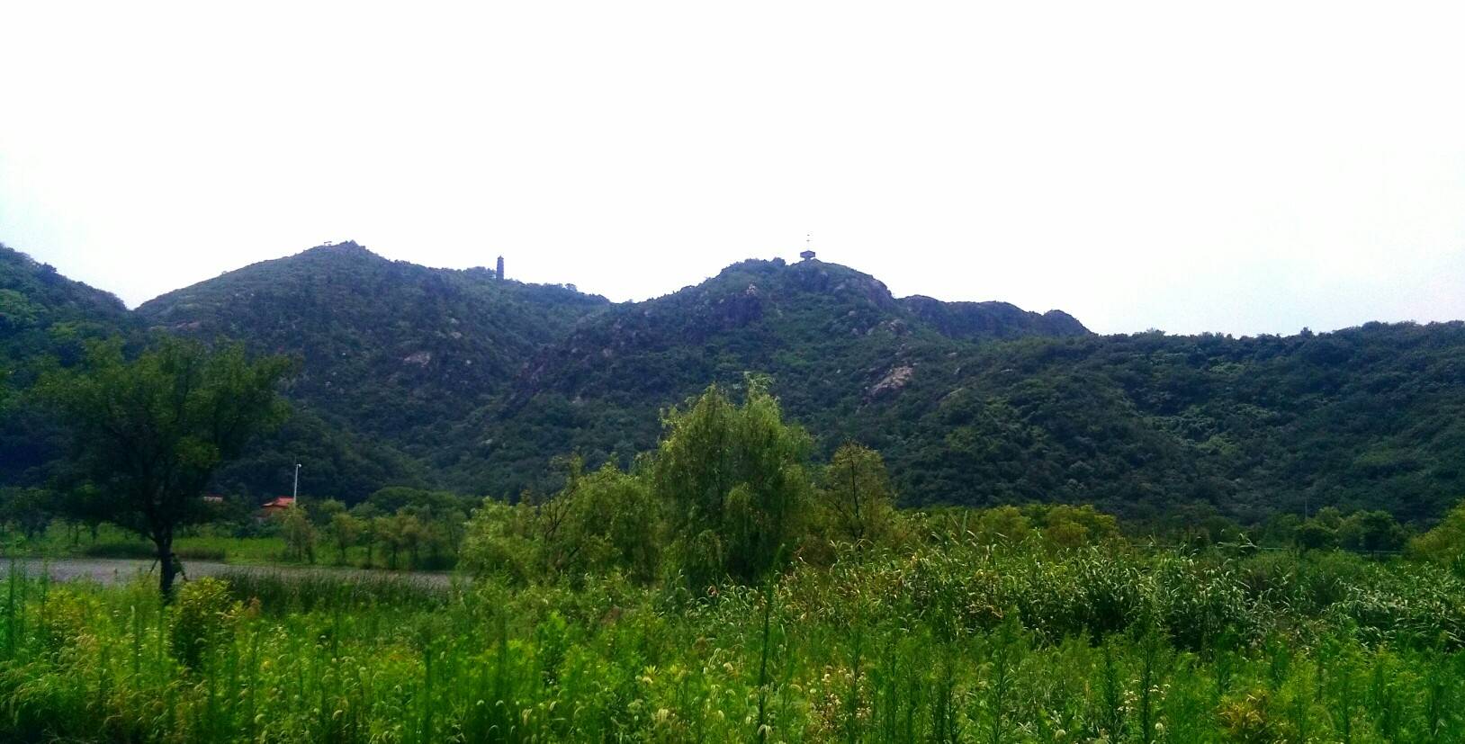 《山光忽西落,池月渐东上.》|聚焦丹阳-丹阳翼网