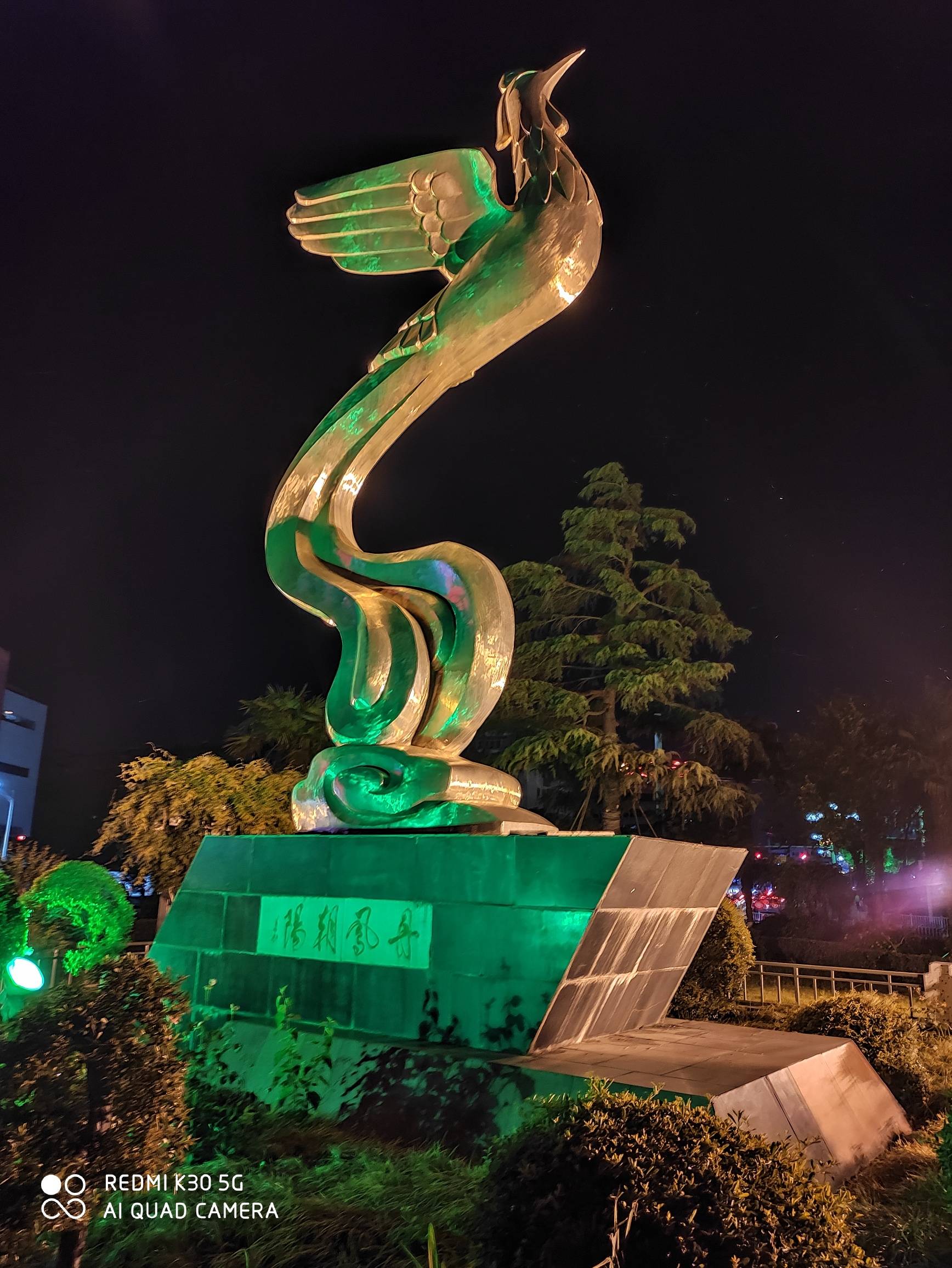 丹凤朝阳两张照片,拍的时差,三秒不到|聚焦丹阳-丹阳翼网 -