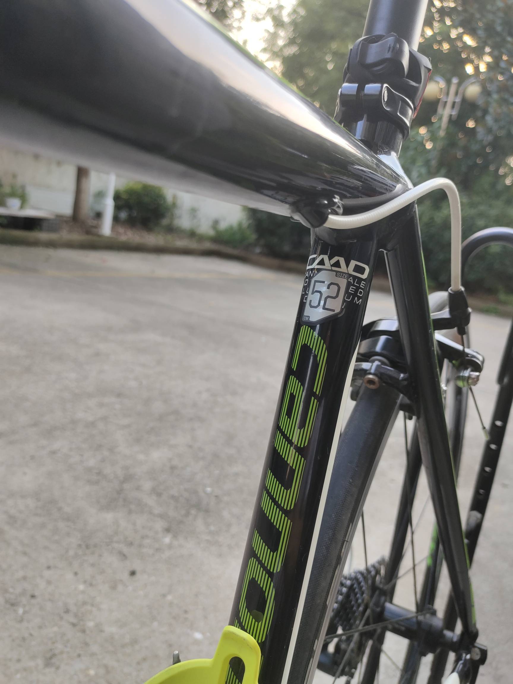 公路自行车_佳能戴尔caad10