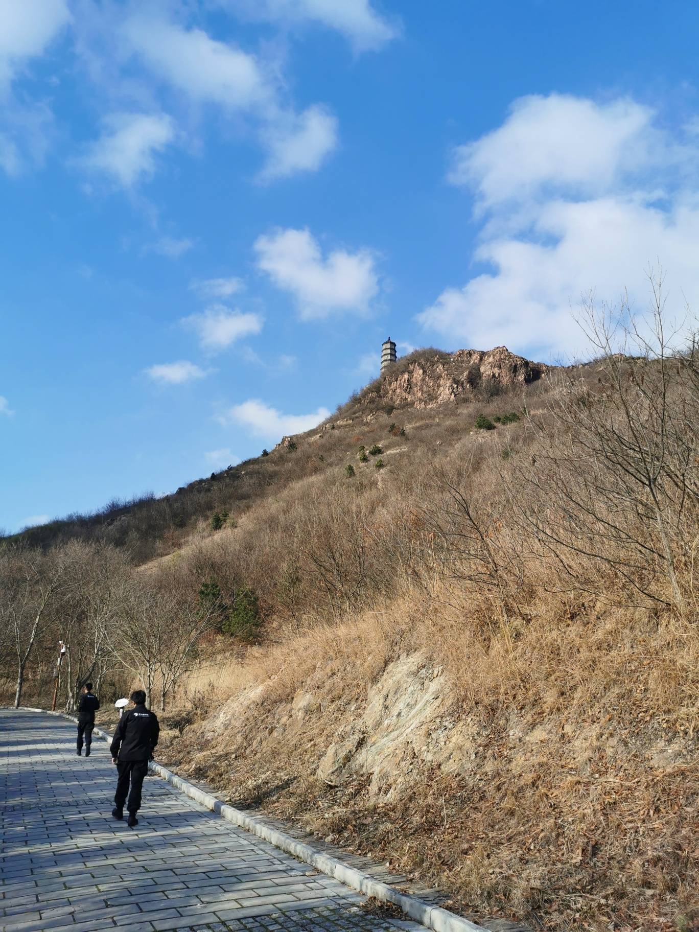 都说圌山风景好,去爬了山,风景确实漂亮.|聚焦丹阳-丹阳翼网