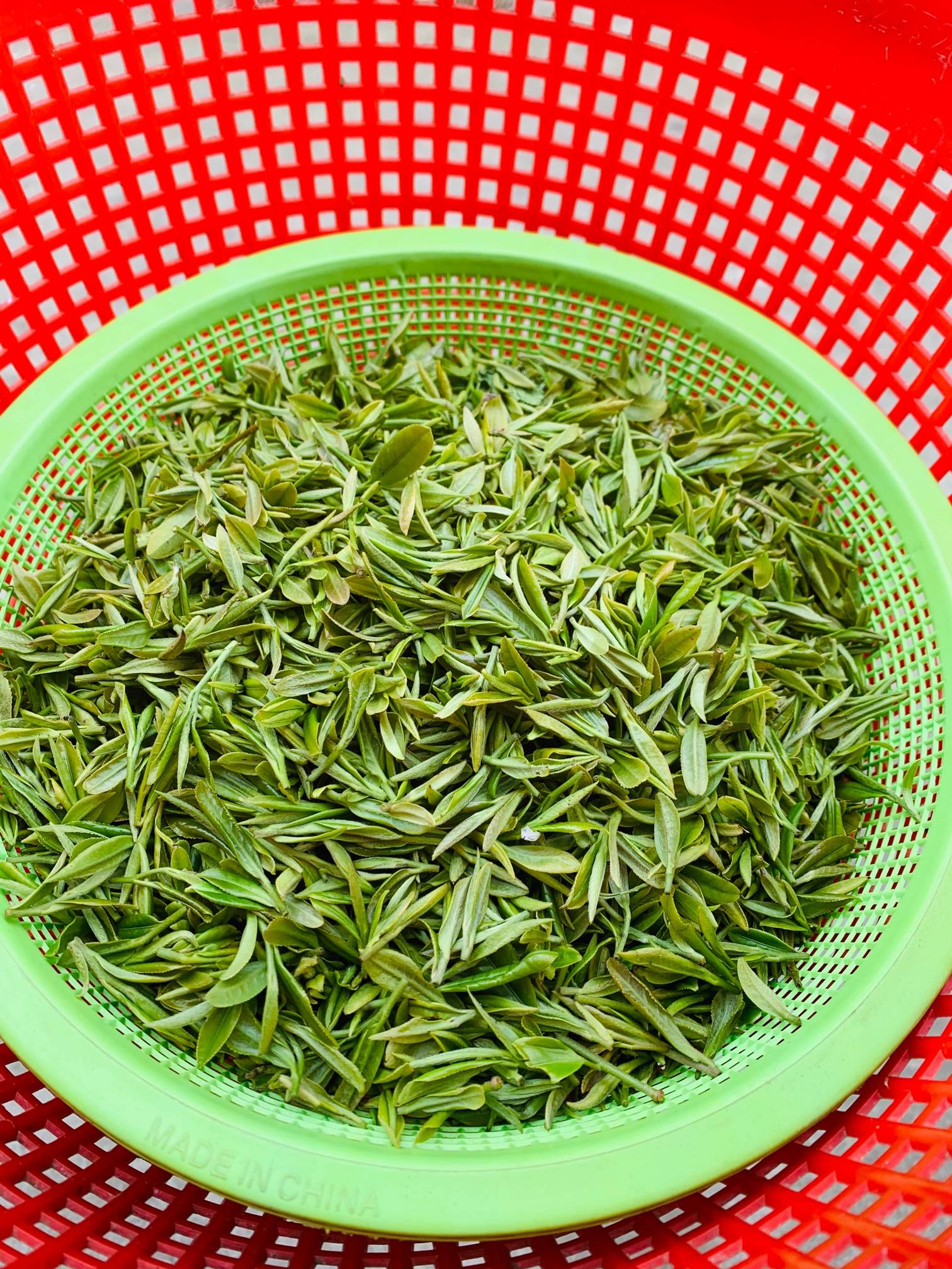 新鲜茶叶便宜出售